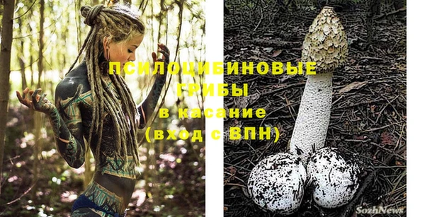 мескалин Няндома