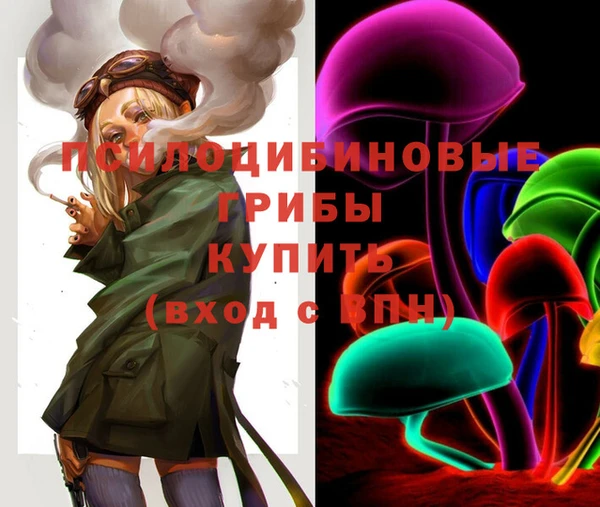 кокаин Новозыбков